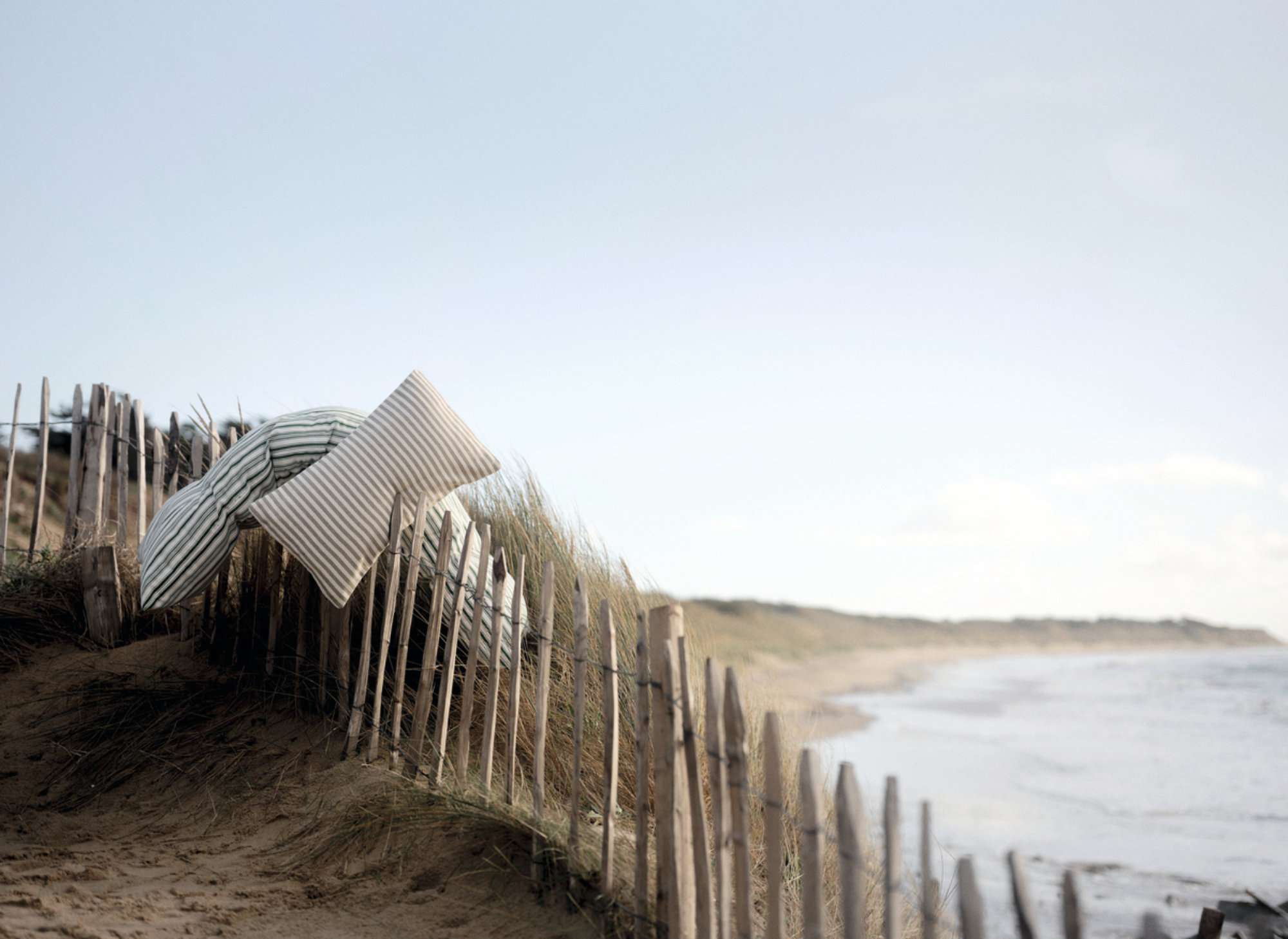 Cape Cod
