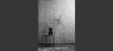 Antares by Omexco, photo 1