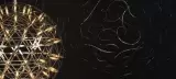 Moooi Wallcovering Extinct Animals by Arte, photo 12