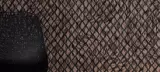 Moooi Wallcovering Extinct Animals by Arte, photo 5