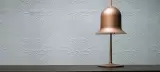 Moooi Wallcovering Extinct Animals by Arte, photo 20