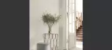 Palazzo by Casadeco, photo 7