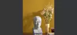 Blossom by Casamance, photo 8
