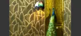 Décors Panoramiques by Arte, photo 5