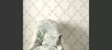 Cristabel by Colefax & Fowler, photo 4
