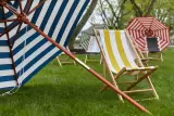 Sunbrella Spring 2023 by Sunbrella, photo 15