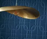 Polyform Eos Allure by Texdecor, photo 1