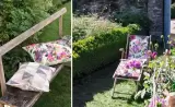 Palme Botanique by Designers Guild, photo 9