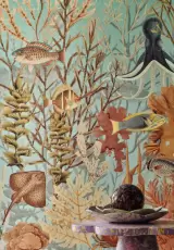Exploration by Casamance Panoramic, photo 8
