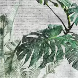 Green by Adriani E Rossi, photo 4