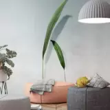 Green by Adriani E Rossi, photo 6