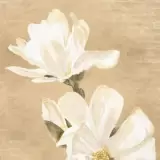 Flowers by Adriani E Rossi, photo 12