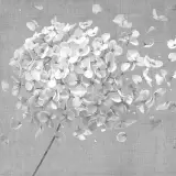 Flowers by Adriani E Rossi, photo 13