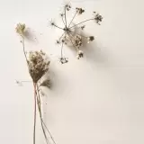 Pure by Omexco, photo 11