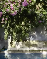 Paros by Manuel Canovas, photo 1
