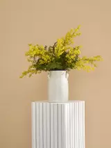 Maison de Famille by Casadeco, photo 1
