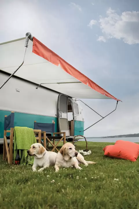 Sunbrella Spring 2023 by Sunbrella